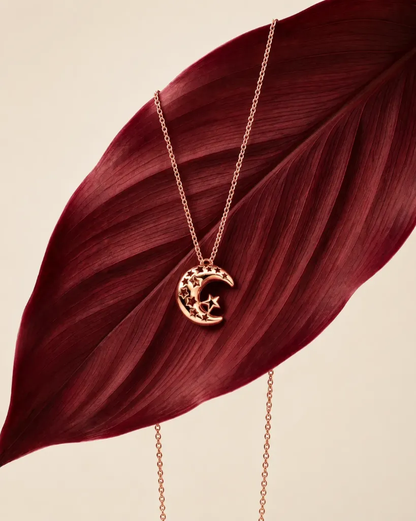 Rosegold Half Moon Necklace